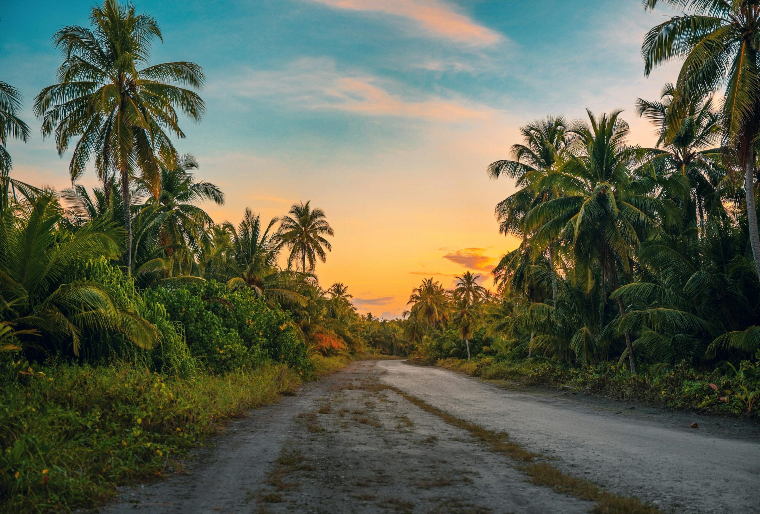 Hello world! Meet Paradise in Paraguay: Our Journey to Freedom, Family, and a New Way of Life🇵🇾 Serene tropical road in the Maldives with palm trees during sunset, emphasizing tranquility.